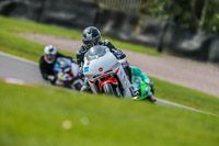 Oulton-Park-21st-March-2020;PJ-Motorsport-Photography-2020;anglesey;brands-hatch;cadwell-park;croft;donington-park;enduro-digital-images;event-digital-images;eventdigitalimages;mallory;no-limits;oulton-park;peter-wileman-photography;racing-digital-images;silverstone;snetterton;trackday-digital-images;trackday-photos;vmcc-banbury-run;welsh-2-day-enduro